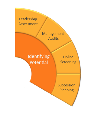 Identifying Leadership Potential wheel