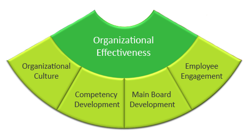 Organisational Effectiveness wheel